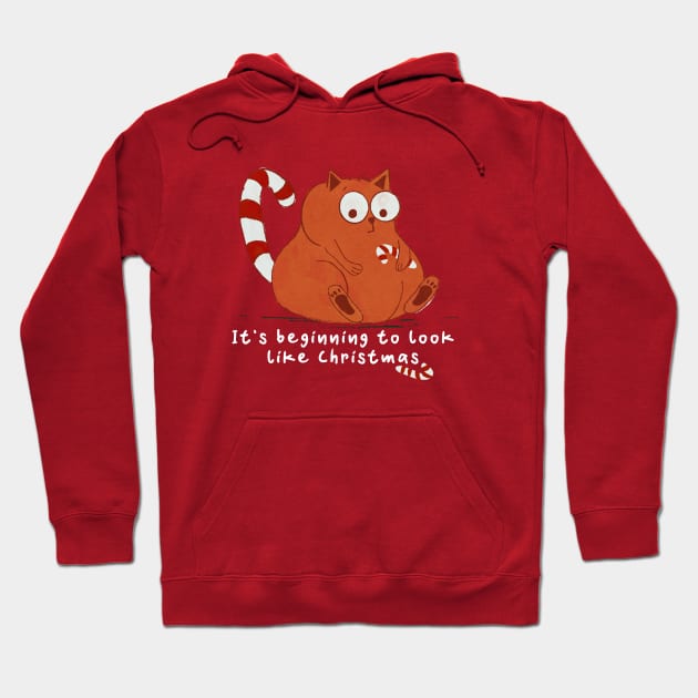 Candy Christmas Cat Hoodie by LacasitadeNadirca